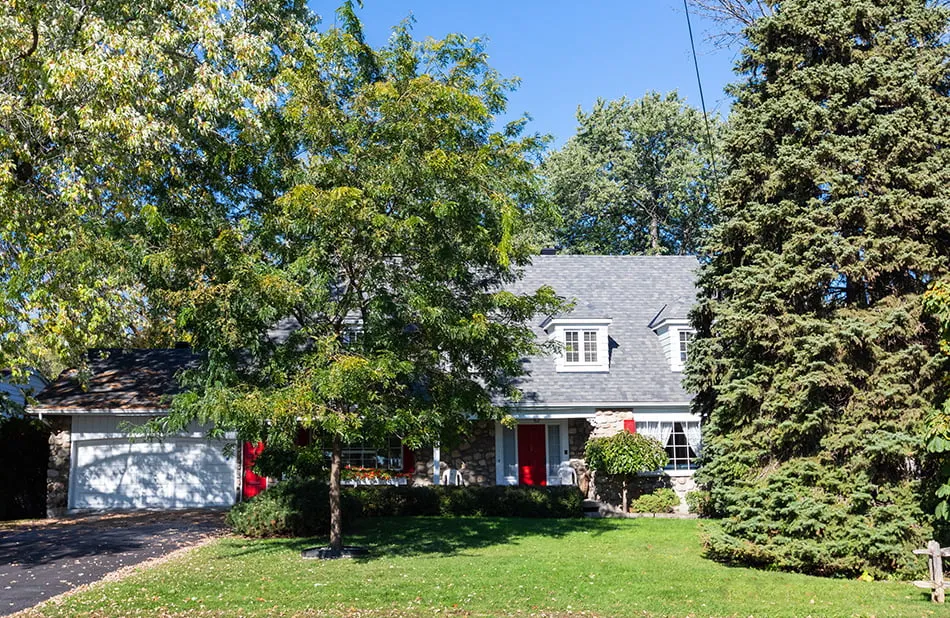 image_2023_06_23T14_07_48_846Z