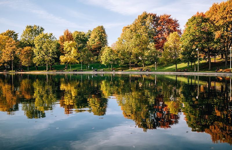 La nature urbaine : parcs et jardins à Montréal