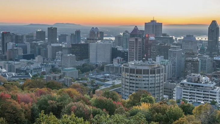 image_2023_06_08T09_44_25_793Z