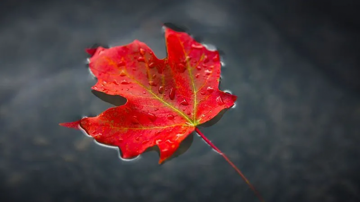 S'installer à Montréal