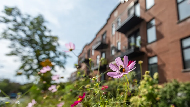 image_2023_06_09T08_28_39_738Z