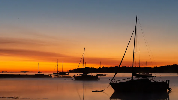 image_2023_06_09T08_31_57_244Z