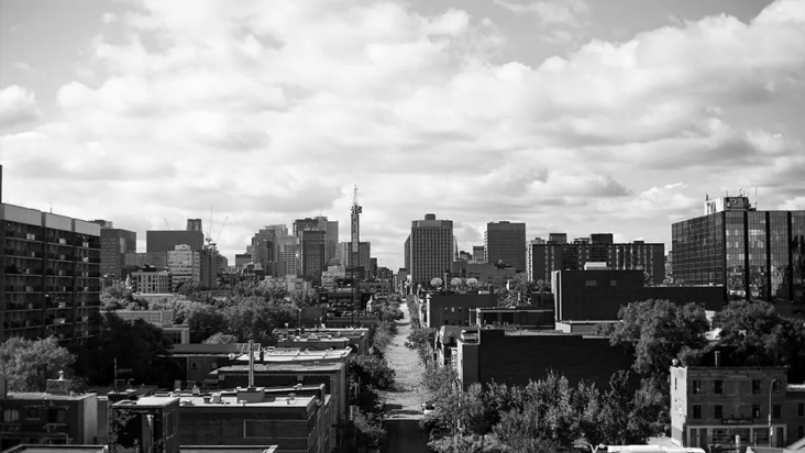 image_2023_06_09T08_32_06_901Z