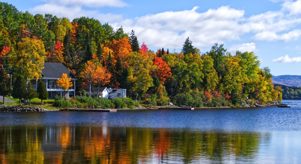 image_2023_06_09T11_52_04_613Z