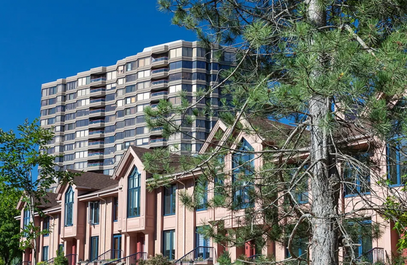 image_2023_06_12T07_45_45_926Z